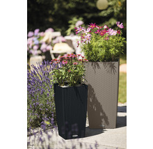 Dva plastové kvetináče s pleteným vzorom v záhrade.