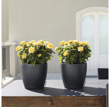 Samozavlažovací kvetináč Lechuza Classico Color plast Ø 21 v. 20 cm tm.sivý