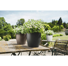 Samozavlažovací kvetináč Lechuza Classico Color plast Ø 28 v. 26 cm tm.sivý