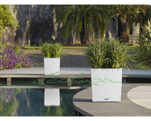 Dva biele kvetináče s rastlinami v záhrade pri bazéne