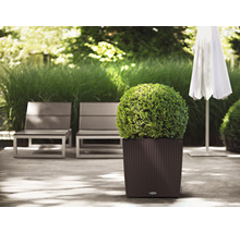 Obal na kvetináč Lechuza Cube Cottage plastový hnedý 50x50x54 cm