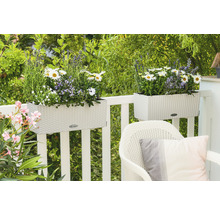 Scéna s dvoma kvetináčmi na balkónovom zábradlí, osadenými rôznymi kvetmi