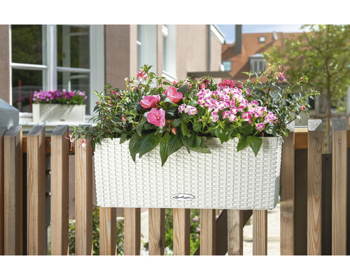 Plastový balkónový kvetináč s farebnými kvetmi na drevenom balkóne