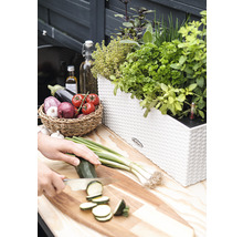 Scéna s bylinkovou záhradkou v kvetináči, zeleninou v košíku a osobou krájajúcou cuketu na doske na krájanie