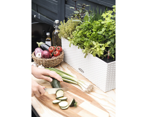 Scéna s bylinkovou záhradkou v kvetináči, zeleninou v košíku a osobou krájajúcou cuketu na doske na krájanie