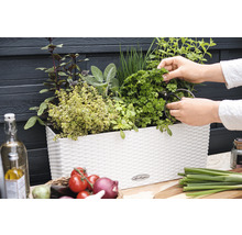 Balkónový kvetináč s bylinkami a osobou zbierajúcou petržlen