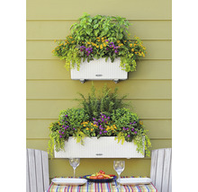 Dva kvetináče s rôznymi bylinkami a kvetmi na stene nad stolom s prestieraním.