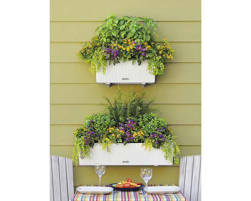 Dva kvetináče s rôznymi bylinkami a kvetmi na stene nad stolom s prestieraním.