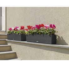 Samozavlažovací kvetináč Lechuza Balconera Cottage plastový 80x19x19 cm sivý