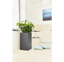 Rastliny vo štvorcovej nádobe na rastliny v kúpeľni