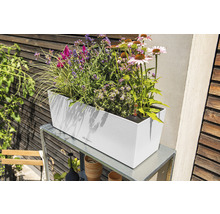 Obdĺžnikový kvetináč s rôznymi kvetmi na kovovom stole