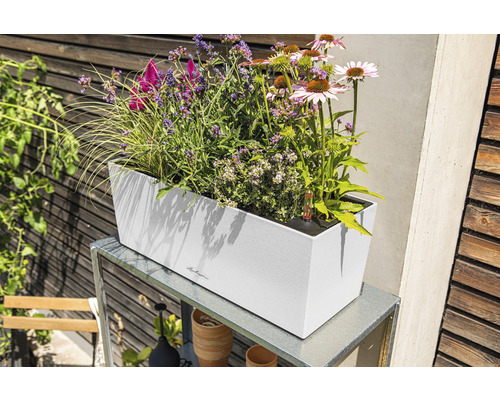 Obdĺžnikový kvetináč s rôznymi kvetmi na kovovom stole