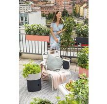 Balkónová scéna so ženou, stoličkou, kvetináčmi a výhľadom na mesto