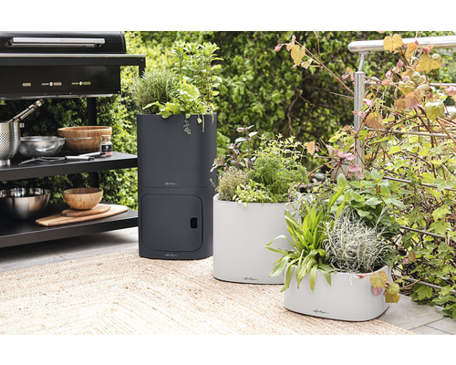 Tri osadené kvetináče na terase vedľa grilu.