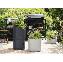 Záhradné aranžmán s bylinkami v kvetináčoch na terase