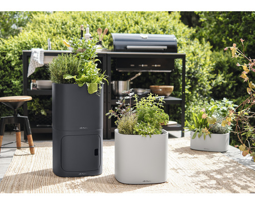 Záhradné aranžmán s bylinkami v kvetináčoch na terase