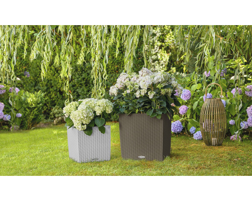 Dva kvetináče s rastlinami a lampáš v záhrade.