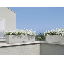 Dva osadené kvetináče vonku