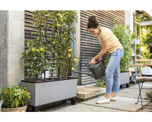 Žena zalieva jablone v kvetináči v záhrade