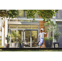 Terasa s rôznymi rastlinami v kvetináčoch pred moderným domom.