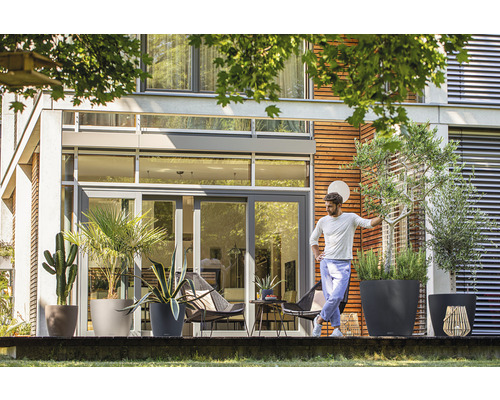 Terasa s rôznymi rastlinami v kvetináčoch pred moderným domom.