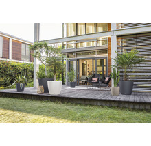 Vonkajší priestor s rastlinami v kvetináčoch na terase