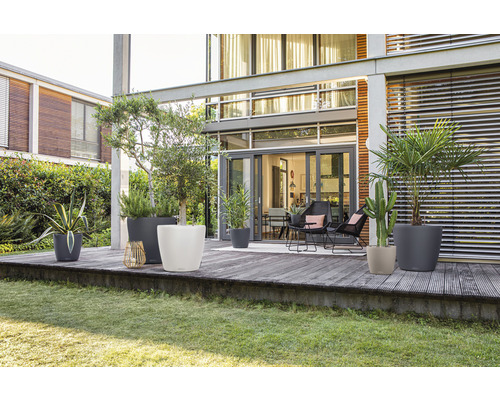 Vonkajší priestor s rastlinami v kvetináčoch na terase