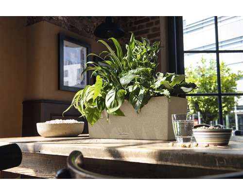 Obdĺžnikový plastový kvetináč s rôznymi rastlinami na drevenom stole