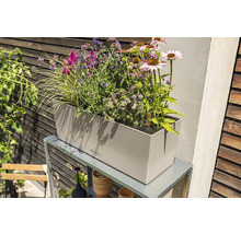 Béžový kvetináč s rôznymi rastlinami na kovovom ráme v záhrade.