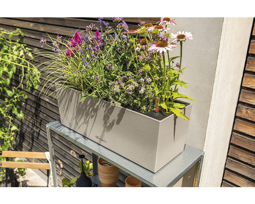 Béžový kvetináč s rôznymi rastlinami na kovovom ráme v záhrade.