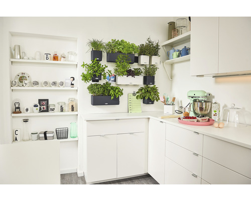 Svetlá kuchyňa s bylinkovou záhradkou na stene a kuchynským robotom na pracovnej doske.