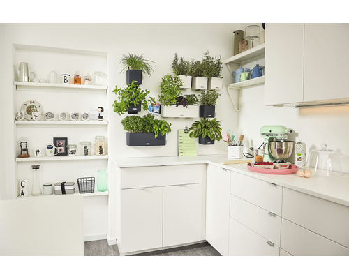 Kuchynská scéna s bielymi kuchynskými skrinkami, policami a bylinkami v nástenných kvetináčoch