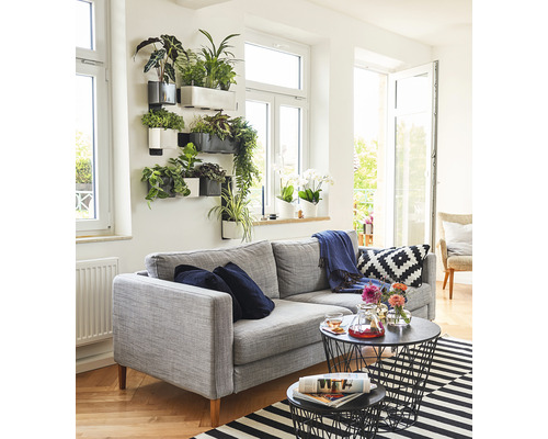 Obývacia izba so sivou pohovkou, nástennými rastlinami a čiernymi drôtenými konferenčnými stolíkmi