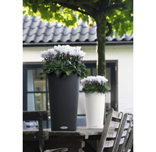 Dva kvetináče s kvetmi na drevenom stole vonku