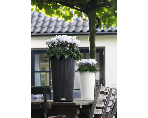 Dva kvetináče s kvetmi na drevenom stole vonku