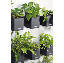 Nástenná výsadba s rôznymi rastlinami v sivých štruktúrovaných kvetináčoch