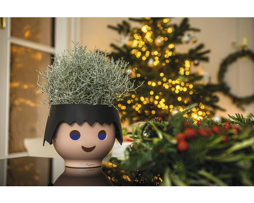 Dekoratívna izbová rastlina v kvetináči v tvare dieťaťa pred vianočným stromčekom