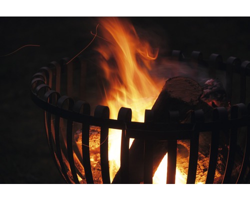 Ohnisko s horiacim drevom