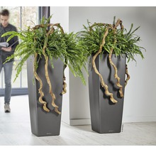 Dva vysoké kvetináče s papradinami a okrasnými konármi v interiéri.