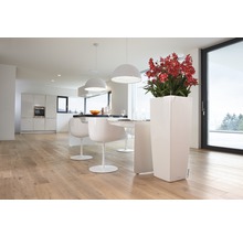 Svetlý interiér s kuchyňou, jedálenským stolom, stoličkami, svietidlami a vysokým bielym kvetináčom s červenými kvetmi