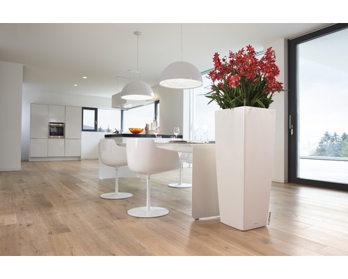 Svetlý interiér s kuchyňou, jedálenským stolom, stoličkami, svietidlami a vysokým bielym kvetináčom s červenými kvetmi