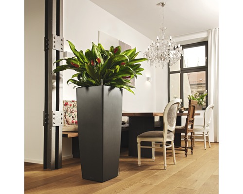 Vysoký plastový kvetináč s izbovou rastlinou v svetlej miestnosti