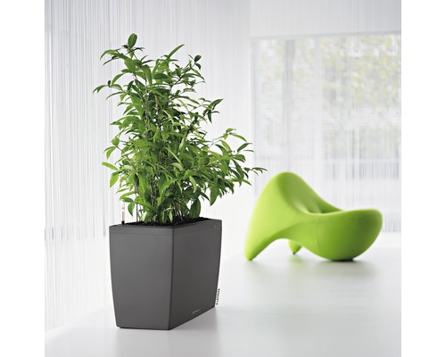 Štvorcový kvetináč so zelenou rastlinou a zelenou stoličkou v pozadí