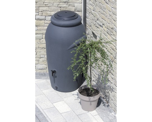 Nádrž na dažďovú vodu s kohútikom a rastlinou v kvetináči pred kamennou stenou