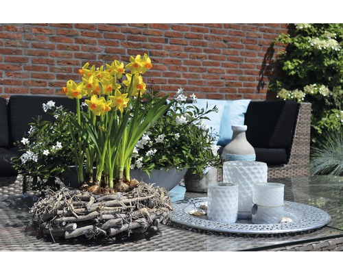 Vonkajšia scéna s narcismi v drevenom kvetináči a lampášmi na stole