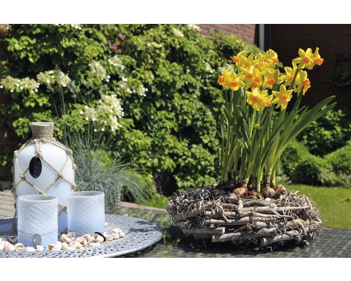 Dekorácia so žltými narcismi v drevenom hniezde, veterné sviečky a dekoratívna fľaša na stole v záhrade.