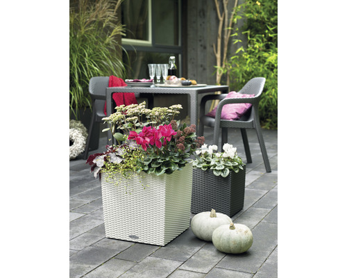 Dekoratívna záhradná scéna s bielymi a tmavými kvetináčmi, vysadenými kvetmi, a tekvicami v popredí.