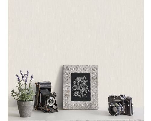 Dekoratívna scéna s rámom, kvetmi a fotoaparátmi na poličke