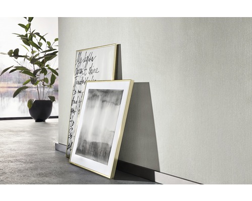 Dva zarámované obrazy stoja pri svetlej stene, vedľa izbovej rastliny.