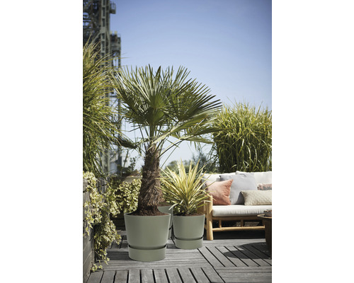 Scéna s rastlinami v kvetináčoch na terase